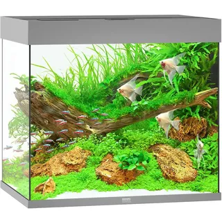JUWEL AQUARIUM Lido 200 LED Aquarium Set grau