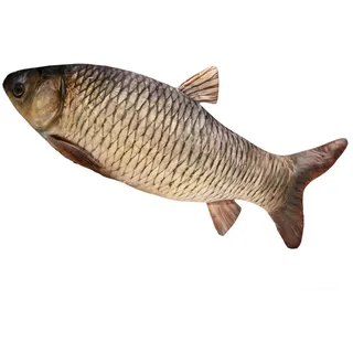 Xiyocadt Riesiges Fischkissen, 3D-Simulation, Fisch, Stofftier,lustige Fisch Kissen Großes,Simulations Fisch-Plüschtier lustiges Fischkissen, weiches Kuscheltier Kissen für Zuhause (40cm,Kopfkarpfen)