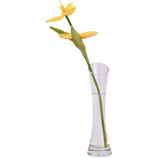 Dewocke Blumenvase 20cm Hoch, Einzelstielvase Glas, Glasvase Transparent, Blumenvase Modern, Vase Schmal Hoch Glas, Knospenvase für Dekorative Heimdekoration, Wohnzimmer, Büro, Esstisch, Tafelaufsätze