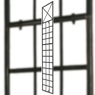 CLP Rankgitter Trigo 200 x 40 cm Bronze