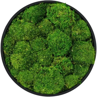 ECD Germany Baum Moosbild Rund 30x30 cm