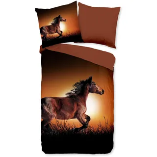 JACK Mikrofaser Bettwäsche 2 TLG. 135x200cm Freedom Horse Pferd Braun Orange
