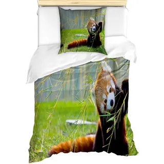 Abakuhaus Bettwäsche Milbensicher Allergiker geeignet mit Kissenbezug, Microfaser, Tierwelt Panda braun|rot
