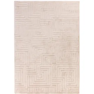 KADIMA DESIGN ILLER Kurzflorteppich 120 x 170 cm Beige