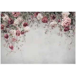 WallArena Fototapete Blumen Betonwand Vlies Tapete Wohnzimmer 250x175