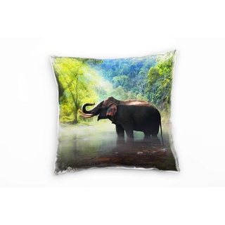 Paul Sinus Art Tiere, Elefant, im Bach, Sonnenschein, grün, grau Deko Kissen 40x40cm für Couch Sofa Lounge Zierkissen - Dekoration zum Wohlfühlen