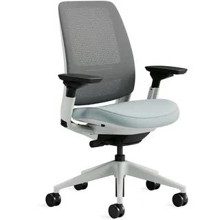 Steelcase Series 2 Ergonomischer Bürostuhl mit LiveBack Lumbalstütze und 4D-Armlehnen Sturmhorizont, 72 x 64 x 101