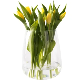 Giessle® [ Große ] Glasvase, Vase für z.B. Trockenblumen & Tulpen, Tischvase, Tulpenvase, Pampasgras, Rosen, Blumenvase rund bauchig
