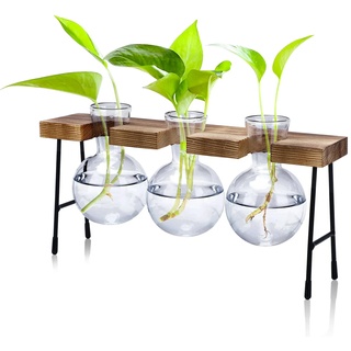 icyant Blumenvase, 3 Pcs Glühbirne Glas Kleine Vasen Modern hydroponische Vasen Mit Holzregal Schreibtisch Pflanzer Mini Deko Vasen Für Wohnzimmer Outdoor Taufe Geburtstag Hydroponik Deko