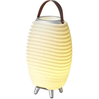 Kooduu Synergy 35 - Bluetooth Lautsprecher mit Lampe - Weinkühler-Funktion | 1,3L Kühlfach - Dimmer mit 4 Stufen - Bis zu 10 Stunden Akkubetrieb - 10W Vollbereich-Sound - TWS-Kopplung - USB-C - 2700K