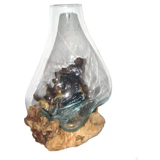 SAWA Spezielle Deko Glasvase Blumen-Vase auf Treibholz/Wurzel-Holz, Höhe der Blumenvase mit Holz: ca. 25 cm