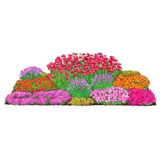 Bio Stauden-Set Trocken durch den Sommer, 24-teilig, Rot, Orange, Pink, Rosa, Lila