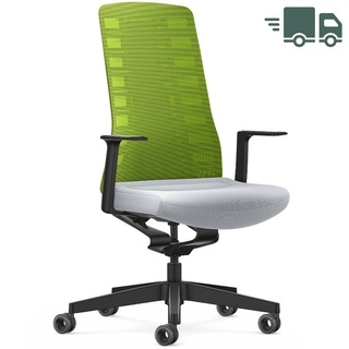 Interstuhl PURE ACTIVE Edition Bürostuhl mit Netzrücken - Variante grün-hellgrau