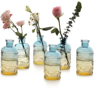 Transparente Knospenvase, 6er-Set, kleine Blumenvasen für Tafelaufsätze, Glasblumenvasen, Mini-Glasvase, Vintage-Dekorative Vase für Schlafzimmer, Wohnzimmer, Hochzeit (bunt)