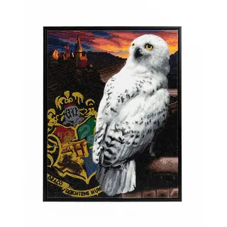DIAMOND DOTZ 2595148 Harry Potter Eule Hedwig, Diamond Painting