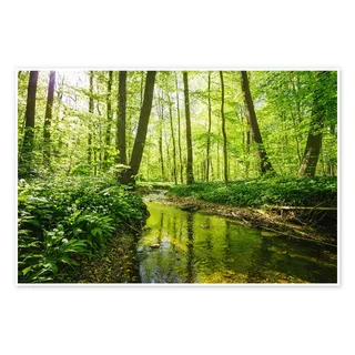 Posterlounge Frischer grüner Wald Poster | 90 x 60 cm von Oliver Henze Grün Wandbilder Wanddeko
