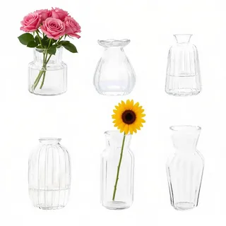 Kleine Glas Bud Vasen Innjoii-6Pcs Clear Vertical Stripes Mini Tiny Flowers Vase in Bulk Modern Verschiedene Form Vintage Niedlich für Home Table Hochzeit Dekor Mittelstücke Party Esszimmer Badezimmer