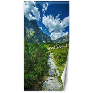 Feeby Türtapete Fototapete Berge Trail Felsen 77x200 cm Türposter Türpanel Vlies Tapete Wohnzimmer Schlafzimmer Kinderzimmer Büro Himmel Büsche Natur Grün