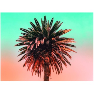 Komar Wandbild | Palm Tree | Poster, Bild, Wohnzimmer, Schlafzimmer, Dekoration, Kunstdruck | ohne Rahmen | P051-40x30 | Größe: 40 x 30 cm (Breite x Höhe)