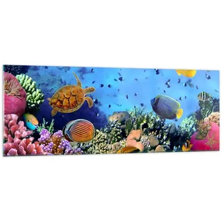 ARTTOR Glasbild 140x50cm Wandbild Glasdruck Natur Reisen - 3569 | Koralle Riff Panorama Groß XXL Modern Dekoration Wohnzimmer Schlafzimmer Küche Wanddeko Kunstdruck Art Wall Decor ARTTOR