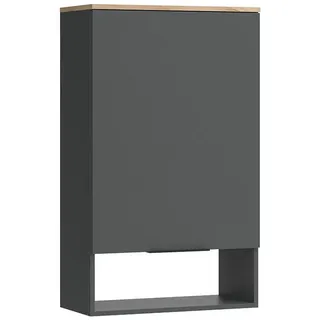Vicco Hängeschrank Wido 60 x 100 x 30 cm Grau