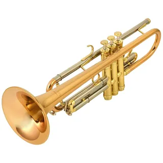 Schagerl Signature Mnozil Brass Bb-Trompete L - Perinettrompete