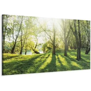 B&D XXL - Leinwandbild Natur Bäume Wald, 120x40 cm, 1-teilig, Schlafzimmer | Hochwertige Leinwand, sofort aufhängbar, ideal fürs Wohn- oder Schlafzimmer, wasserfest und lichtecht, langlebig, stilvoll