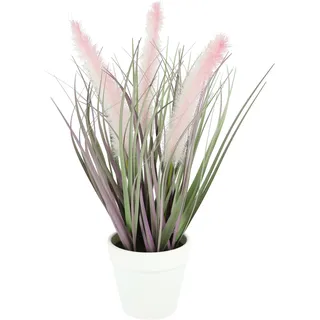 Kunstpflanze I.GE.A. "Ziergras mit rosa Federblüten im weißen Topf, 35 cm hoch", burgund, B:16cm H:35cm L:14cm, Kunststoff, Kunstpflanzen, Kunstpflanze, Grasbusch Dekogras Dekopflanze