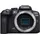 Body