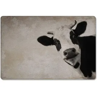 Türmatte 60x40cm, Bauernhof Kuh Schwarz Weißes Vieh Welcome Fußmatte Modernen Innenmatte Pflegeleichte Badezimmer Matte, Für Badezimmer, Eingang, Flur