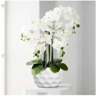 Kunstorchidee Kunstpflanze Orchidee Orchidee, Creativ green, Höhe 55.00 cm, im Keramiktopf weiß