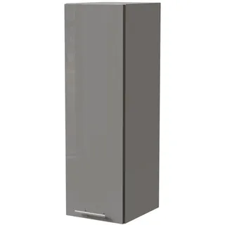 Feldmann-Wohnen Hängeschrank Essen 30 x 32,5 x 96 cm Grau