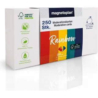 Magnetoplan Moderationskarten Rainbow farbsortiert 20,0 x 10,0 cm, 250 St.