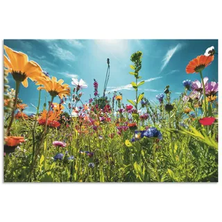 ARTland Wanddeko Wandbild Alu Verbundplatte für Innen & Outdoor Bild 60x40 cm Blumenbilder Blumenwiese Blüten Frühling Blumen Bunt U2KS