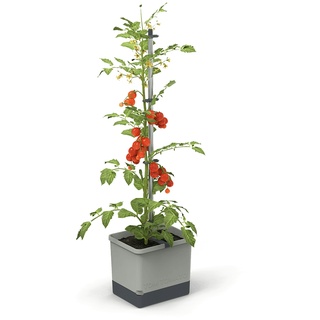 Gusta Garden Tom Tomato Draußen Topfpflanzer Freistehend Aluminium, Polypropylen (PP) Grau