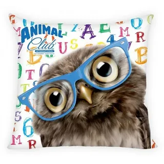 Kissen Eule Kuschelkissen Dekokissen 40x40 cm Polyester - Braun