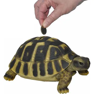 dazikemo Spardose Sparschwein große Schildkröte