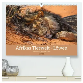 Afrikas Tierwelt - Löwen (hochwertiger Premium Wandkalender 2026 DIN A2 quer), Kunstdruck in Hochglanz: Löwen, das Sinnbild von Kraft, Wildheit und Anmut (CALVENDO Tiere)