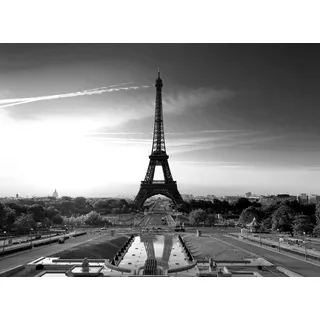 Papermoon Fototapete PAPERMOON "Paris Eiffelturm Schwarz & Weiß", schwarz (schwarz, weiß), B:2,5m L:1,86m, Vlies, Tapeten