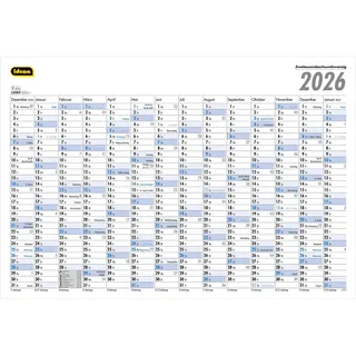 Idena 12074 - Wandkalender 2026, Jahreskalender für 14 Monate, Plakatkalender in quer 101 x 68 cm groß