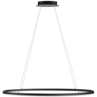 Paul Neuhaus Titus 1-flg. 56 cm oval schwarz