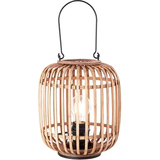 Brilliant Woodrow Braun
