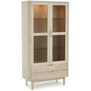 Feeling4Home Vitrine 100 x 45 x 190 cm Mehrfarbig