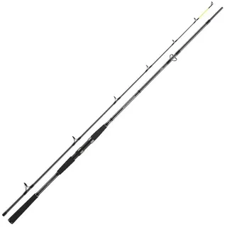 Daiwa Seahunter X 2.60m 60-180g