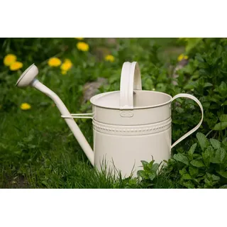 KUHEIGA Gießkanne 6 Liter Creme Metall Zinkkanne Verzinkt Kanne 1015 Giesskanne