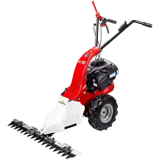 Eurosystems - Eurosystem Briggs & Stratton M90 Balkenmäher