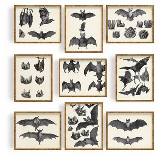 FREEBLOSS 9 Stücke Fledermaus Poster, Poster Aesthetic Bilder Set Aesthetic Dekoration Bilder Wall Art für Schlafzimmer und Wohnzimmer 20x25cm