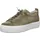 olive 36