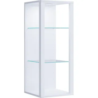 VCM Glasvitrine hängend Vitrine Glas mit ESG-Sicherheitsglas Maße ca. . H. 90 x 35 x 35 cm Hängevitrine Glas Modern und platzsparend Glas Vitrinenschrank - Glasol MW