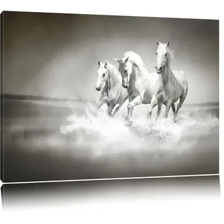 Pixxprint Weisse Pferde rennen im Wasser, Größe: 100x70cm, Leinwandbild, fertig gespannt, Wandbild, Dekoration, Kunstdruck, kein Poster
